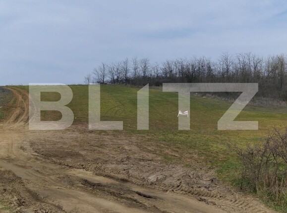 Teren de vânzare Simnicu de Sus  - 190138TV | BLITZ Craiova | Poza2