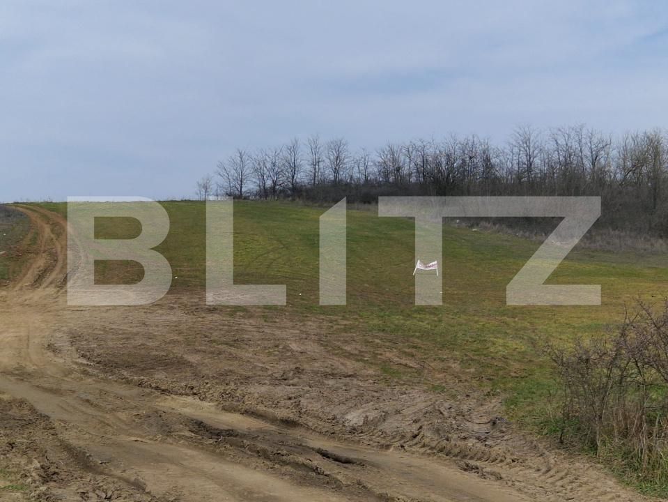 Teren de vânzare Simnicu de Sus  - 190138TV | BLITZ Craiova | Poza2
