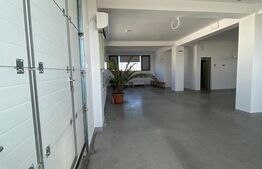 Hala productie, 600 mp, zona Aeroport