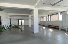 Hala productie, 600 mp, zona Aeroport