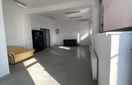 Hala productie, 600 mp, zona Aeroport