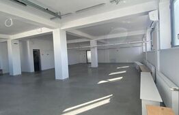 Hala productie, 600 mp, zona Aeroport