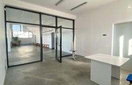 Hala productie, 600 mp, zona Aeroport