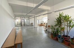 Spatiu comercial, 600 mp, zona Aeroport