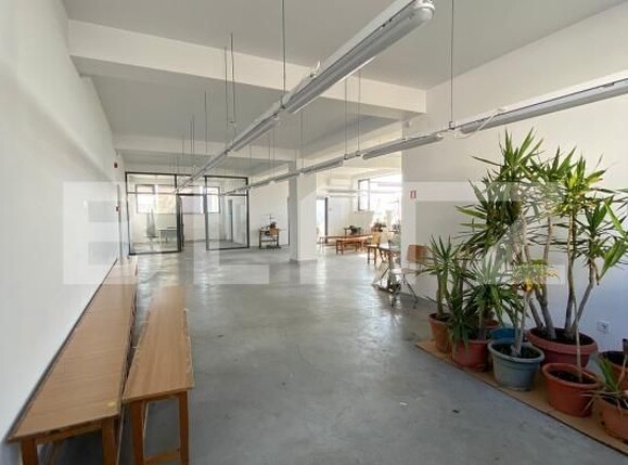 Spațiu comercial de închiriat Exterior Est - 190144SIC | BLITZ Craiova | Poza11