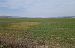 Teren intravilan de vânzare – 3300 mp, Leșile