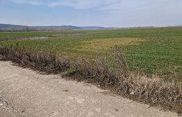 Teren intravilan de vânzare – 3300 mp, Leșile