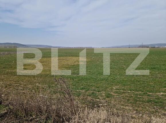 Teren de vânzare Simnicu de Sus  - 190146TV | BLITZ Craiova | Poza3