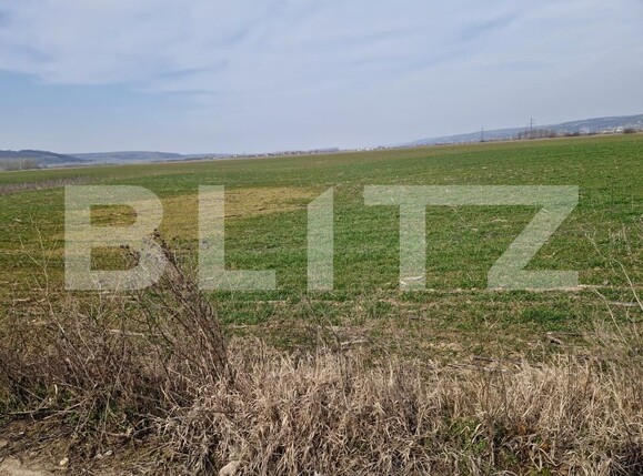 Teren de vânzare Simnicu de Sus  - 190146TV | BLITZ Craiova | Poza2