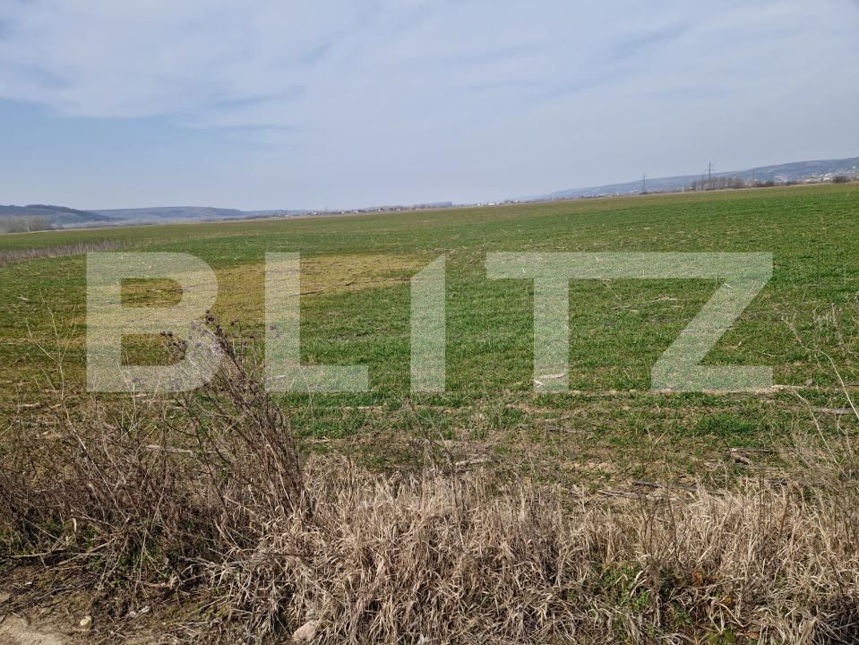 Teren de vânzare Simnicu de Sus  - 190146TV | BLITZ Craiova | Poza2