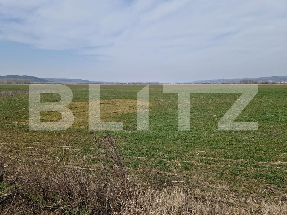Teren de vânzare Simnicu de Sus  - 190146TV | BLITZ Craiova | Poza3