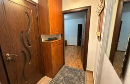 Apartament 2 camere, 45 mp, zona Brazda-Guliver