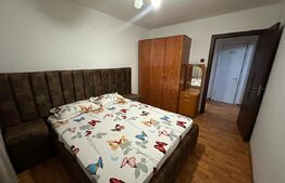 Apartament 2 camere, 45 mp, zona Brazda-Guliver