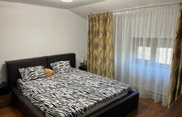 Casa P+M, 500 mp teren, deschidere bilaterala, Drumul Apelor, zona Lapus