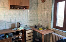 Casa P+M, 500 mp teren, deschidere bilaterala, Drumul Apelor, zona Lapus