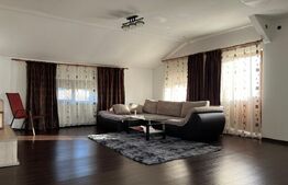 Casa P+M, 500 mp teren, deschidere bilaterala, Drumul Apelor, zona Lapus