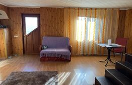 Casa P+M, 500 mp teren, deschidere bilaterala, Drumul Apelor, zona Lapus