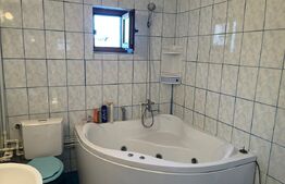 Casa P+M, 500 mp teren, deschidere bilaterala, Drumul Apelor, zona Lapus