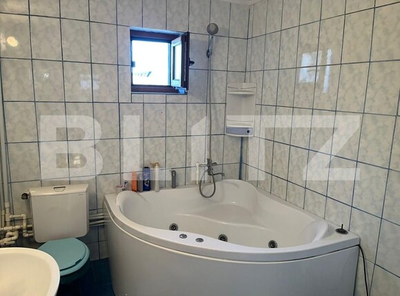 Casa de vânzare 5 camere Lapus - 190194CV | BLITZ Craiova | Poza9