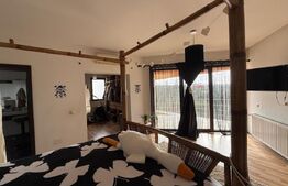 Casa P+1+M cu piscina si 1057 mp de teren, pozitionata inedit