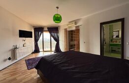 Casa P+1+M cu piscina si 1057 mp de teren, pozitionata inedit