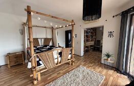 Casa P+1+M cu piscina si 1057 mp de teren, pozitionata inedit