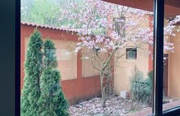 Casa P+1+M cu piscina si 1057 mp de teren, pozitionata inedit