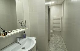 Spatiu comercial, 163 mp, zona Central