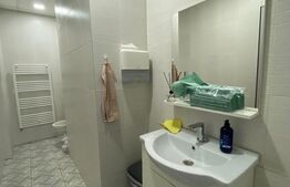 Spatiu comercial, 163 mp, zona Central