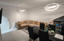 Casa moderna S+P, energy efficient, 180 mp si 1145 mp teren, Plaiul Vulcanesti