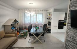 Casa moderna S+P, energy efficient, 180 mp si 1145 mp teren, Plaiul Vulcanesti