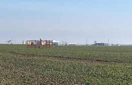 Teren de vânzare Nord - 178332TV | BLITZ Craiova | Poza1