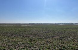 Teren intravilan, 5000 mp, zona Peugeot