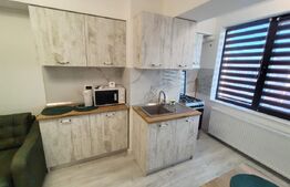 Apartament 2 camere, 46 mp, zona George Enescu