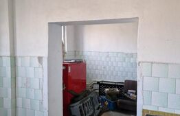 Domeniu boieresc cu conac și lac privat – Pleșoiu, Olt