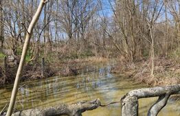 Ocazie unica !!! CONAC boieresc superb in inima Olteniei,  98000 mp