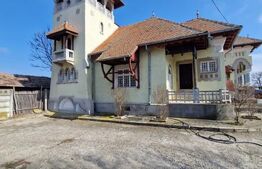 Domeniu boieresc cu conac și lac privat – Pleșoiu, Olt