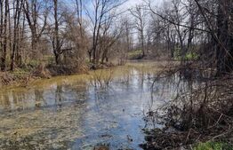 Ocazie unica !!! CONAC boieresc superb in inima Olteniei,  98000 mp