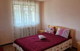 Domeniu boieresc cu conac și lac privat – Pleșoiu, Olt