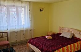 Domeniu boieresc cu conac și lac privat – Pleșoiu, Olt