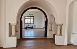 Ocazie unica !!! CONAC boieresc superb in inima Olteniei,  98000 mp