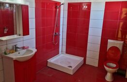 Domeniu boieresc cu conac și lac privat – Pleșoiu, Olt