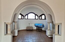 Ocazie unica !!! CONAC boieresc superb in inima Olteniei,  98000 mp