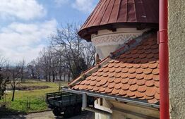 Ocazie unica !!! CONAC boieresc superb in inima Olteniei,  98000 mp