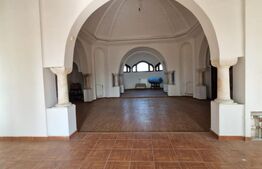 Ocazie unica !!! CONAC boieresc superb in inima Olteniei,  98000 mp