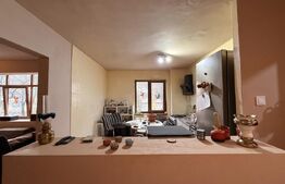 Apartament 2 camere SD, et. 1, 56 mp, zona Brazda lui Novac