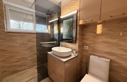 Apartament 2 camere 53 mp, curte + terasă 59 mp, zona Parcul Romanescu