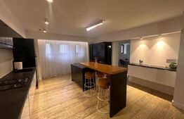 Casa Peresutti, 487 mp utili, curte 1300 mp, Calea Unirii 145