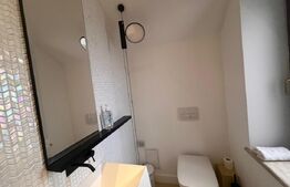 Casa Peresutti, 487 mp utili, curte 1300 mp, Calea Unirii 145