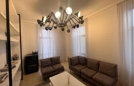 Casa Peresutti, 487 mp utili, curte 1300 mp, Calea Unirii 145